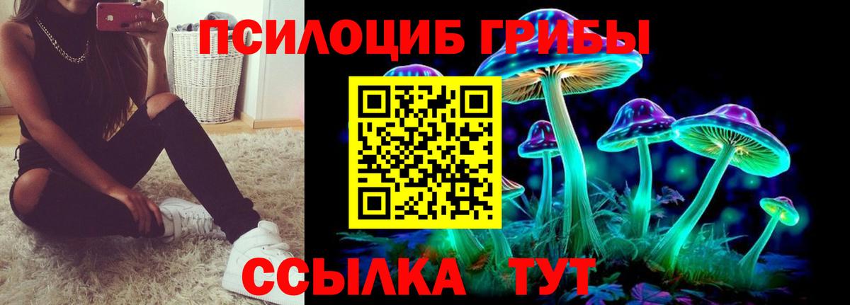 Галлюциногенные грибы MAGIC MUSHROOMS  Вход с VPN  продажа наркотиков  Вышний Волочёк  Галлюциногенные грибы MAGIC MUSHROOMS 